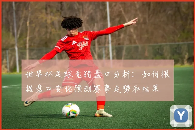 世界杯足球竞猜盘口分析：如何根据盘口变化预测赛事走势和结果