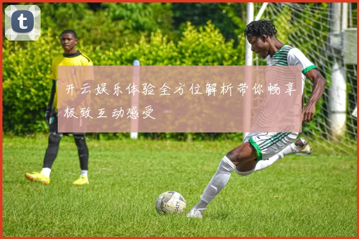 开云娱乐体验全方位解析带你畅享极致互动感受