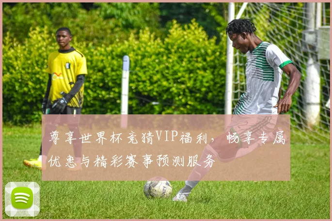尊享世界杯竞猜VIP福利，畅享专属优惠与精彩赛事预测服务