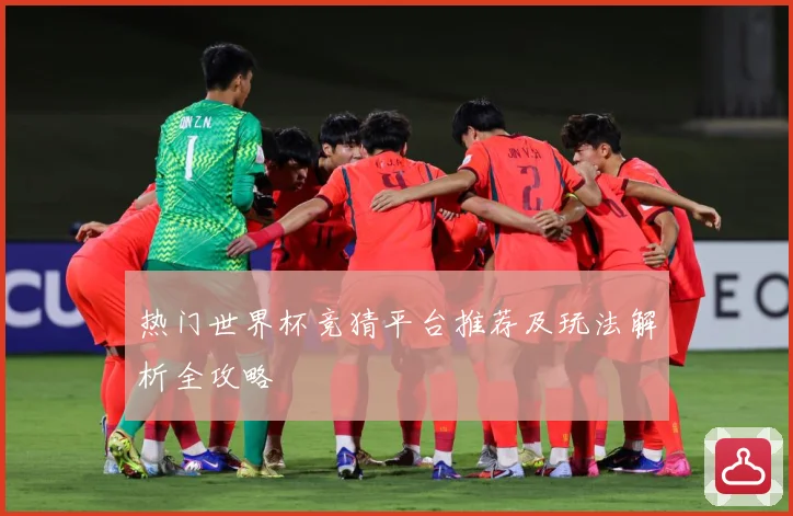 热门世界杯竞猜平台推荐及玩法解析全攻略