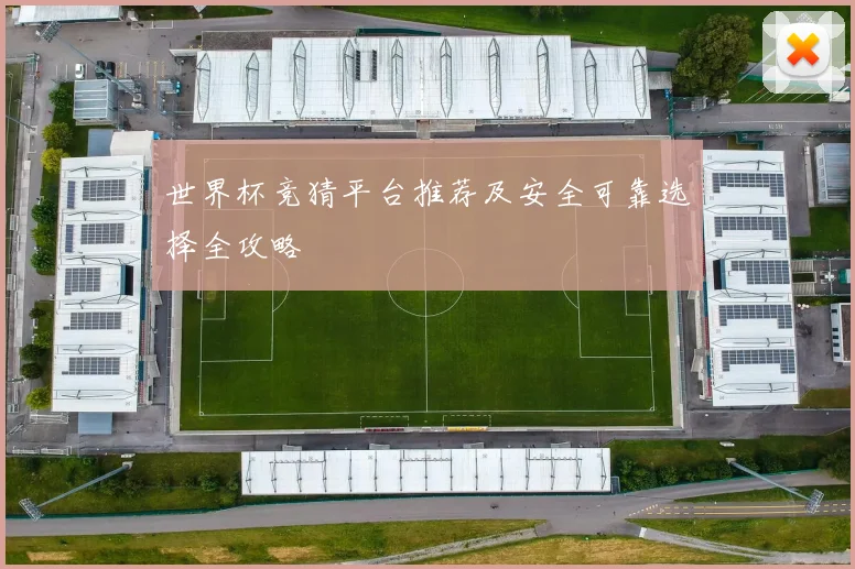 世界杯竞猜平台推荐及安全可靠选择全攻略