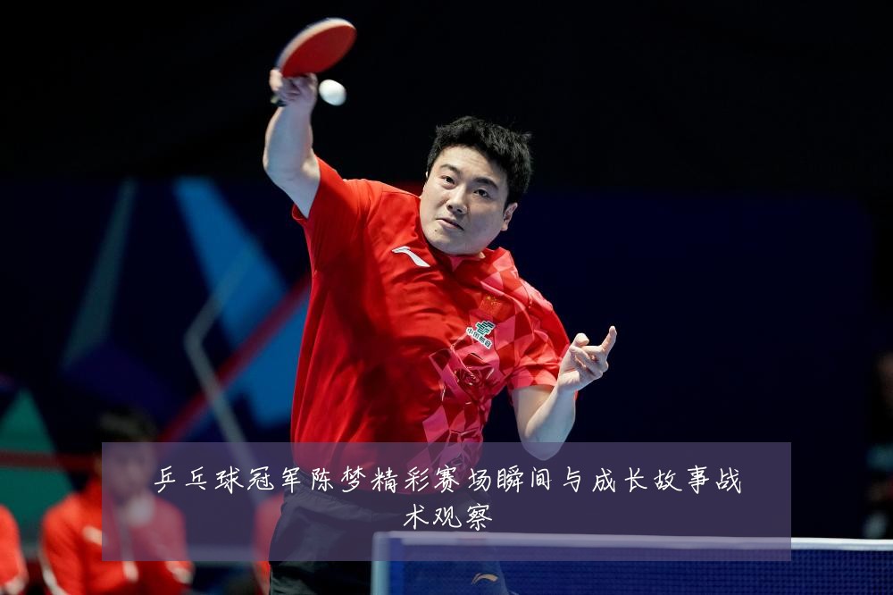 乒乓球冠军陈梦精彩赛场瞬间与成长故事战术观察