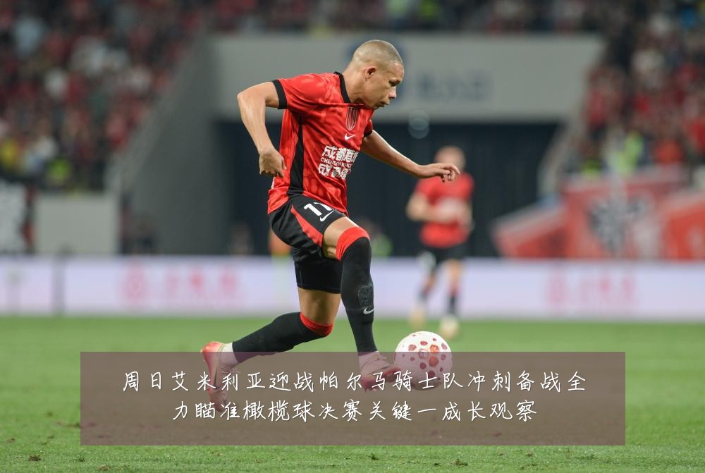 周日艾米利亚迎战帕尔马骑士队冲刺备战全力瞄准橄榄球决赛关键一成长观察